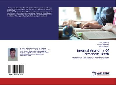 Internal Anatomy Of Permanent Teeth