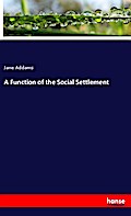 A Function of the Social Settlement
