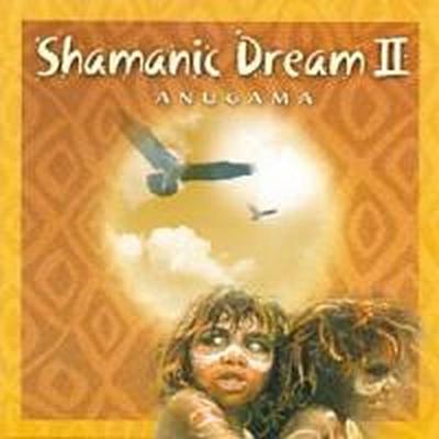 Shamanic Dream. Vol.2, 1 Audio-CD