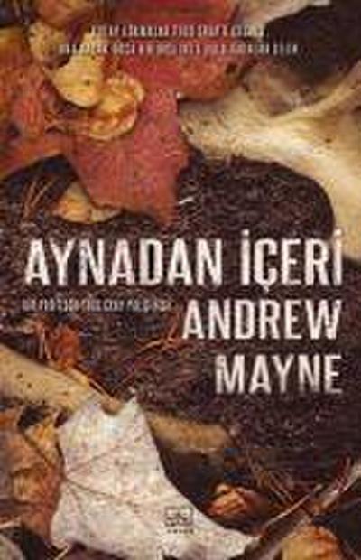 Aynadan Iceri