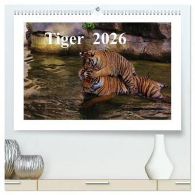 Tiger 2026 (hochwertiger Premium Wandkalender 2026 DIN A2 quer), Kunstdruck in Hochglanz