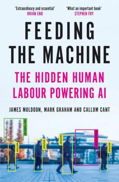 Feeding the Machine : The Hidden Human Labour Powering AI
