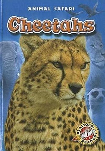 Cheetahs