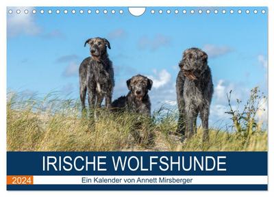 Irische Wolfshunde (Wandkalender 2024 DIN A4 quer), CALVENDO Monatskalender