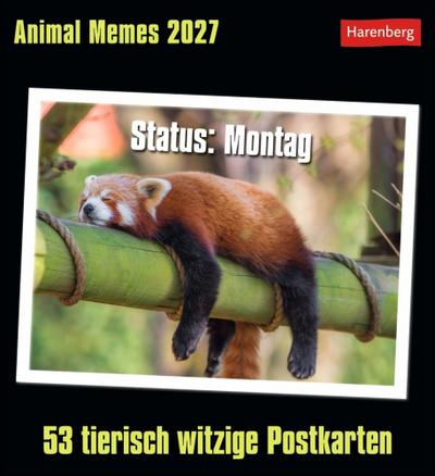 Animal Memes Postkartenkalender 2027 - 53 tierisch witzige Postkarten 