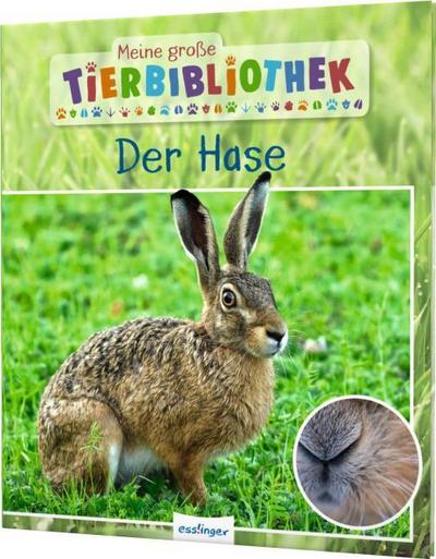 Der Hase