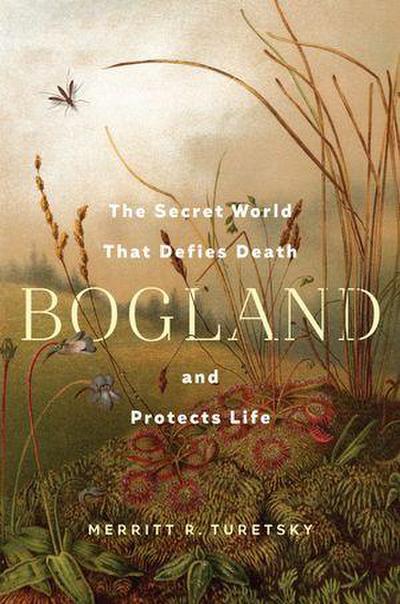Bogland