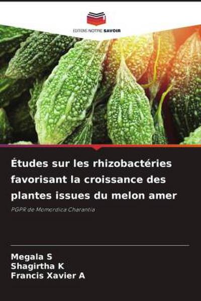 Études sur les rhizobactéries favorisant la croissance des plantes issues du melon amer