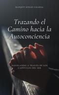 Trazando el Camino hacia la Autoconciencia