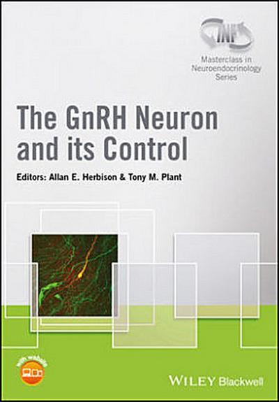 The Gnrh Neuron and Its Control