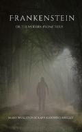 Frankenstein; or the Modern Prometheus (annotated)