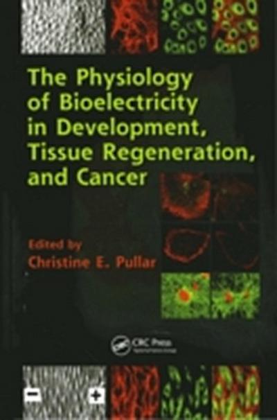 Physiology of Bioelectricity in Development, Tissue Regeneration and Cancer