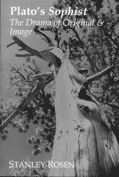 Plato’s Sophist