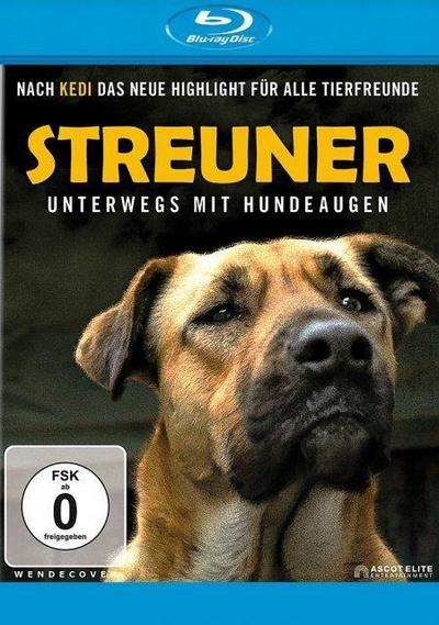 Streuner - Unterwegs mit Hundeaugen (BR) Min: 72/DD5.1/WS