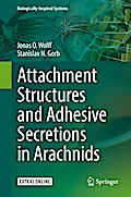 Attachment Structures and Adhesive Secretions in Arachnids