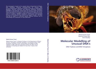 Molecular Modelling of Unusual DNAs