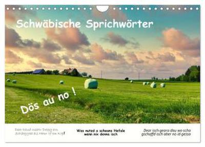 03 Schwäbische Sprichwörter - Dös au no! (Wandkalender 2026 DIN A4 quer), CALVENDO Monatskalender