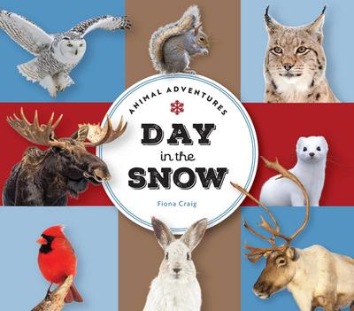 Animal Adventures: Day in the Snow