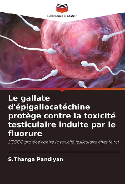 Le gallate d’épigallocatéchine protège contre la toxicité testiculaire induite par le fluorure