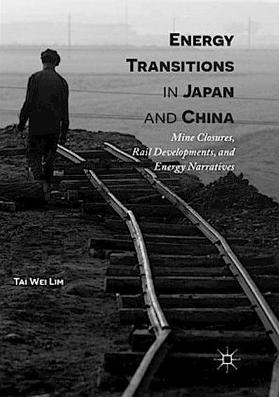 Energy Transitions in Japan and China