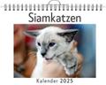 Siamkatzen
