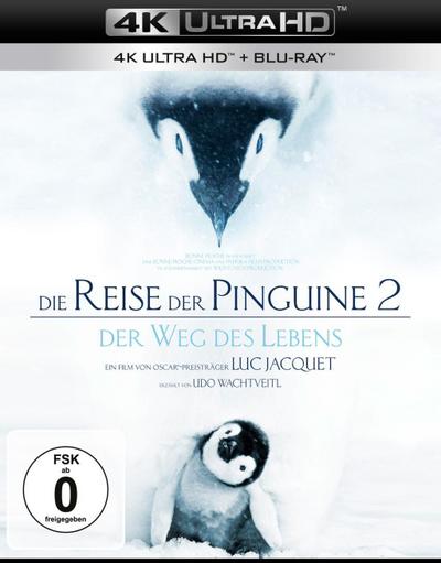 Reise der Pinguine #2, Die (UHD) Min: 85/DD5.1/WS