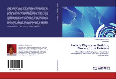 Particle Physics as Building Blocks of the Universe