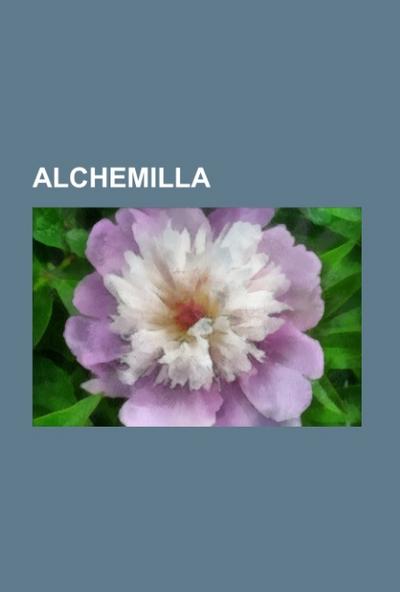 Alchemilla - Quelle
