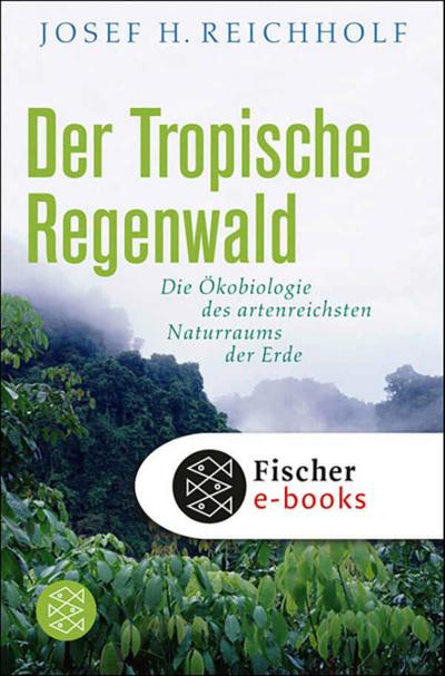 Der tropische Regenwald