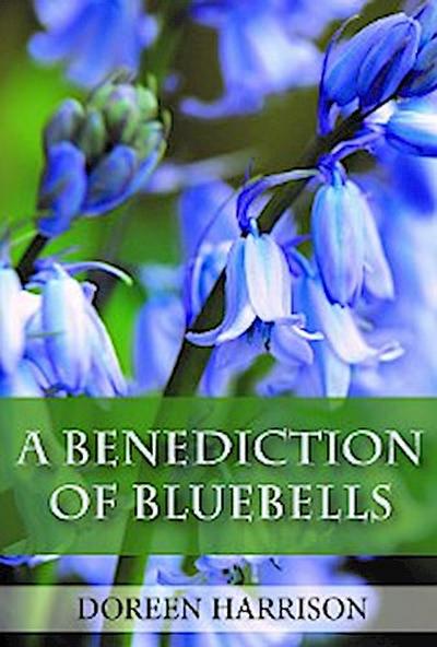 A Benediction of Bluebells