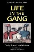 Life in the Gang
