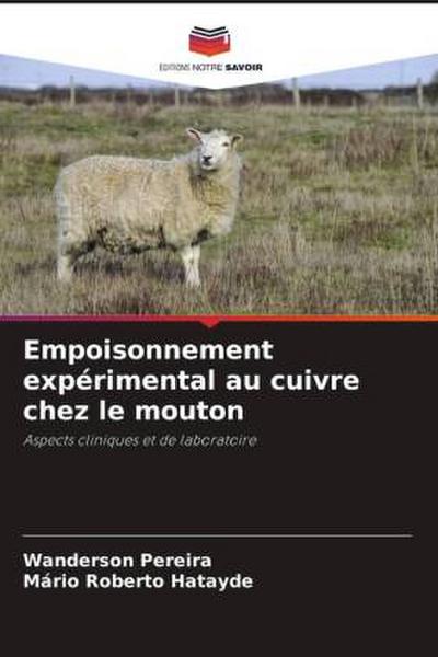 Empoisonnement expérimental au cuivre chez le mouton