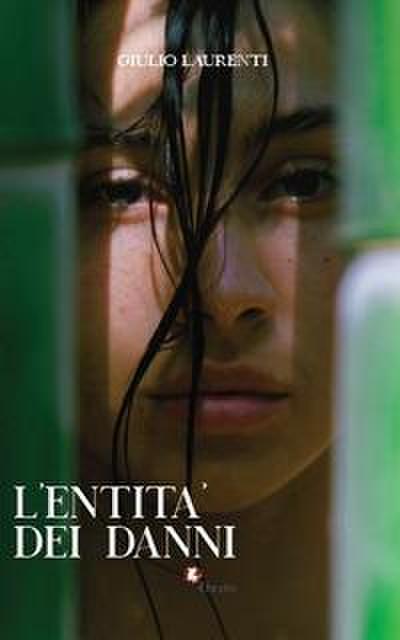 L’ entità dei danni