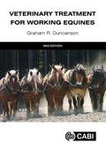 Veterinary Treatment for Working Equines