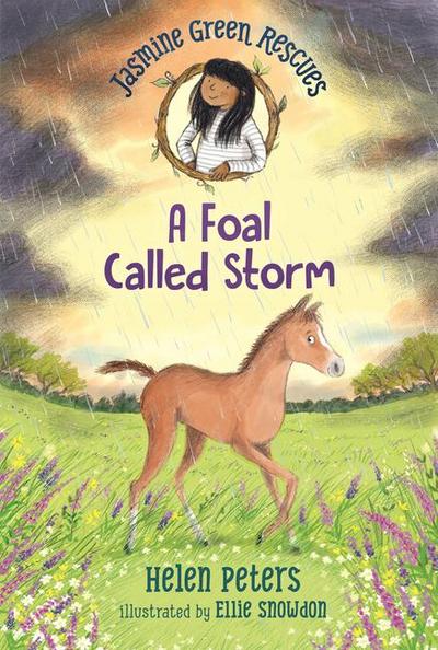 Jasmine Green Rescues: A Foal Called Storm