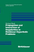 Propagations and Interactions of Singularities