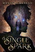 A Single Spark (Fae-Touched Exiles, #1)