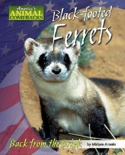 BLACK FOOTED FERRETS