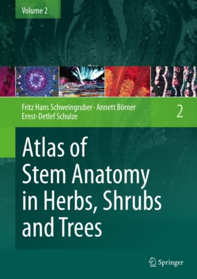 Atlas of Stem Anatomy in Herbs, Shrubs and Trees