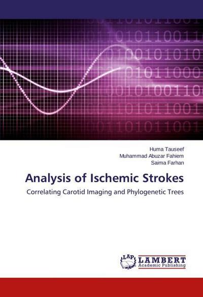 Analysis of Ischemic Strokes
