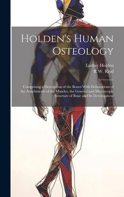 Holden’s Human Osteology