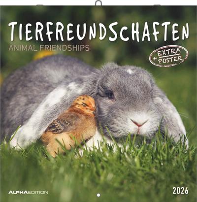 Tierfreundschaften 2026 - Broschürenkalender 30x30 cm (30x60 geöffnet) - Kalender mit Platz für Notizen - Animal Friendships - Bildkalender - Planer