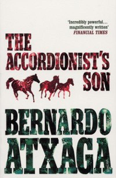 Accordionist’s Son