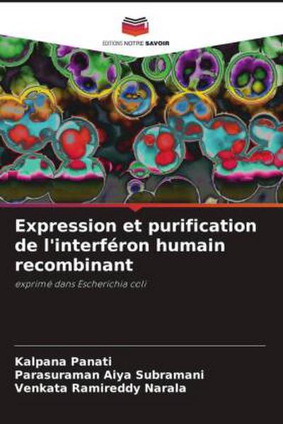 Expression et purification de l’interféron humain recombinant