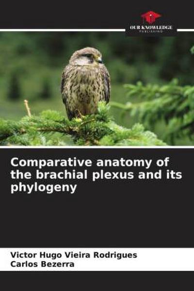 Comparative anatomy of the brachial plexus and its phylogeny