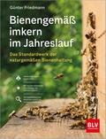 Bienengemäß imkern im Jahreslauf