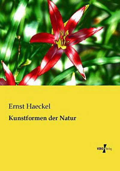 Kunstformen der Natur