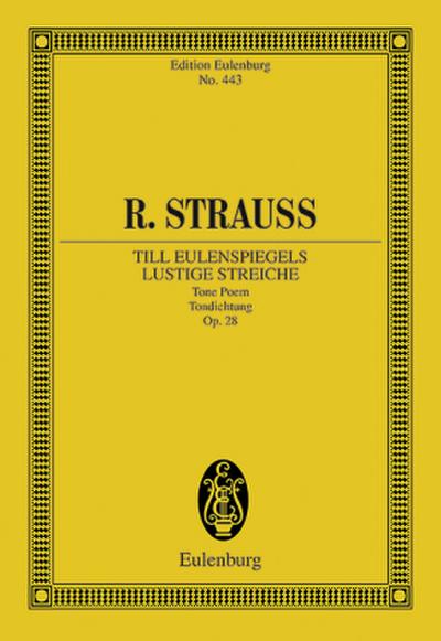 Till Eulenspiegels lustige Streiche