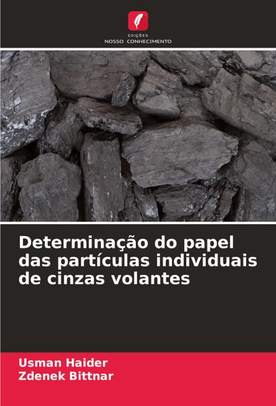 Determinação do papel das partículas individuais de cinzas volantes