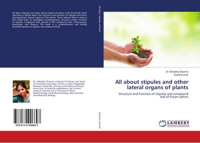 All about stipules and other lateral organs of plants
